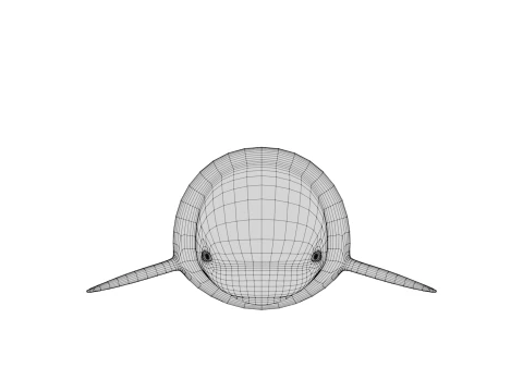 Rigged Cartoon Beluga Whale 3D Model