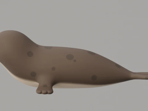 Rigged Cartoon Seal 3D Model