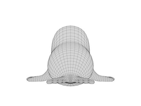 Rigged Cartoon Seal 3D Модель