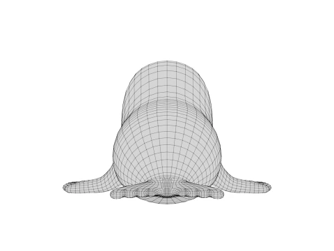Rigged Cartoon Seal 3D Model