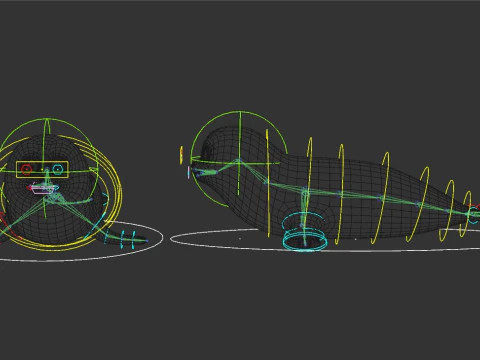 Rigged Cartoon Seal 3D Model