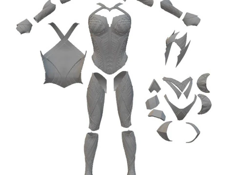 Mera Aquaman Full Body Armor STL 3D Print Files 3D Print Model