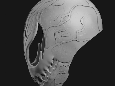 M&aacute;scara Venom Carnage Halloween Cosplay Arquivos de impress&atilde;o 3D STL Modelo de Impressão 3D