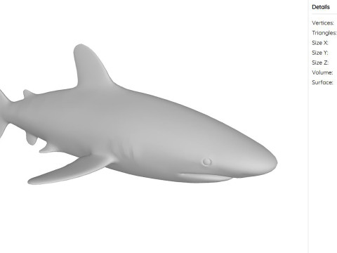 Oceanic White Tip Shark Ready to Print 3D-Modell