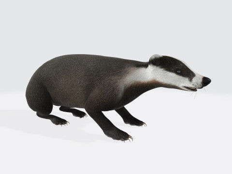 Honey Badger Animal Sculpture Ready to Print 3Dモデル