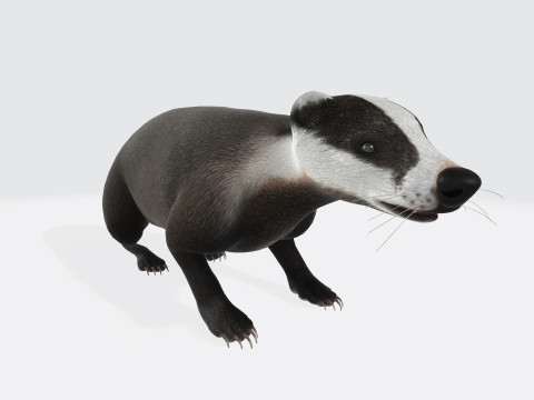Honey Badger Animal Sculpture Ready to Print 3D Model