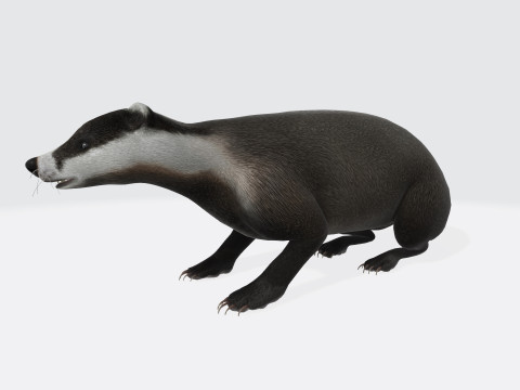 Honey Badger Animal Sculpture Ready to Print 3D Model