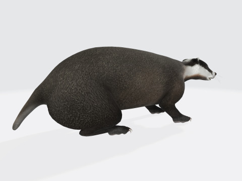 Honey Badger Animal Sculpture Ready to Print 3D Model