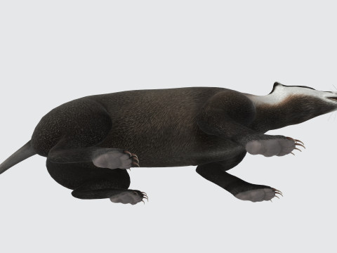 Honey Badger Animal Sculpture Ready to Print 3D Model