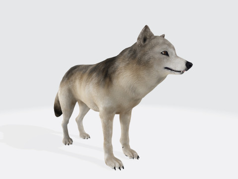 Gray Wolf Animal Figure Ready to Print 3Dモデル