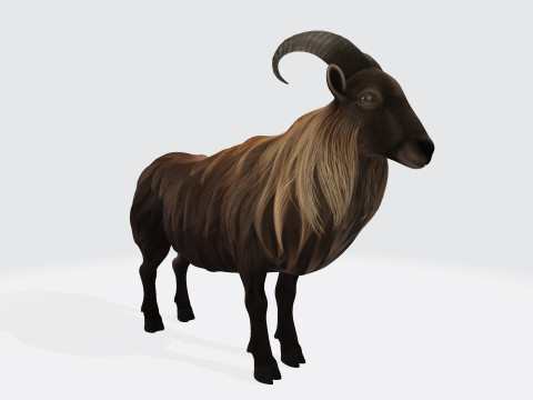 Himalayan Mountain Goat Sculpture Ready to Print 3D Model