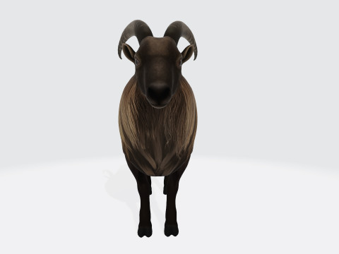 Himalayan Mountain Goat Sculpture Ready to Print 3Dモデル