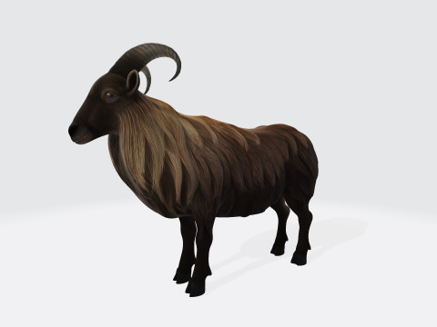 Himalayan Mountain Goat Sculpture Ready to Print 3Dモデル