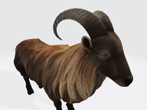 Himalayan Mountain Goat Sculpture Ready to Print 3Dモデル