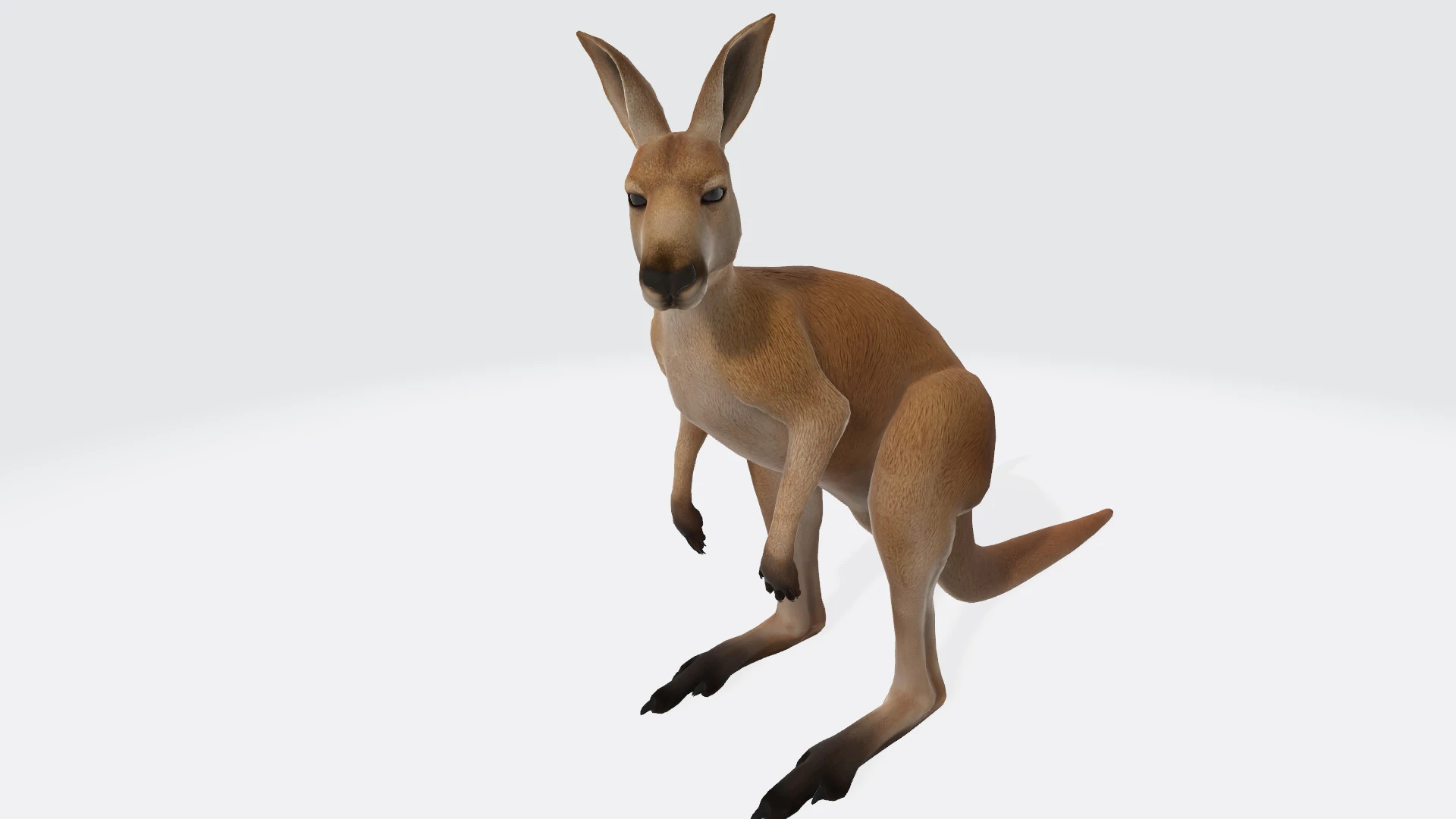 Kangaroo Ready to Print 3D Model .c4d .max .obj .3ds .fbx .stl .blend
