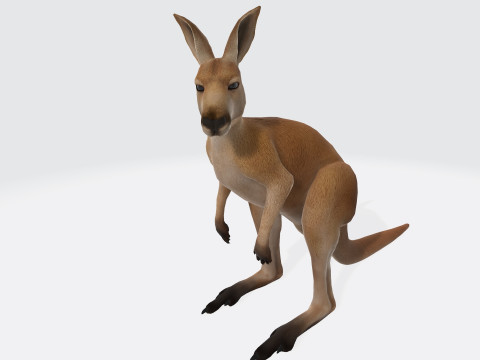 Kangaroo Ready to Print Model 3D