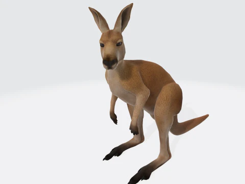 カンガルーの印刷準備完了 3Dモデル