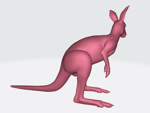 Kangaroo Ready to Print 3D Model