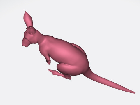 Kangaroo Ready to Print 3D Model