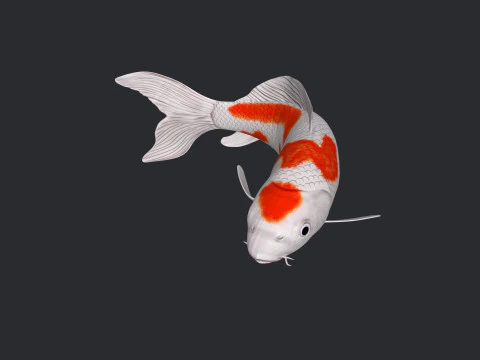 鯉の印刷準備完了 3Dモデル