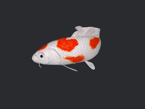 Koi Fish Ready to Print 3D 모델