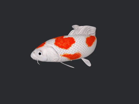 Koi Fish Ready to Print 3D Model