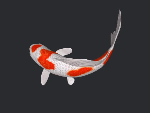 Koi Fish Ready to Print 3D Model