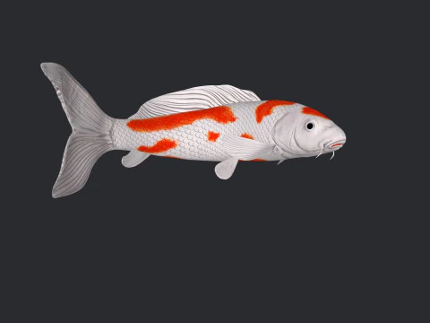 Koi Fish Ready to Print 3D Model