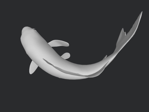 Koi Fish Ready to Print 3D 모델