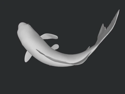 Koi Fish Ready to Print 3D Model