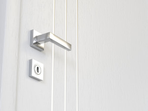 Dooris door 3D Model