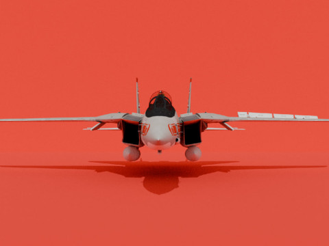 F-14A Tomcat Early 3D Model