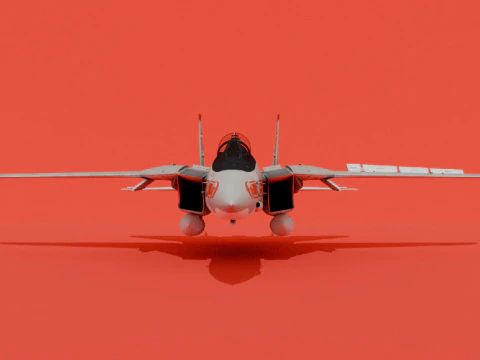 F-14A Tomcat Early 3D Model