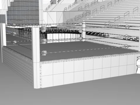 WWE Stadium 3D Model