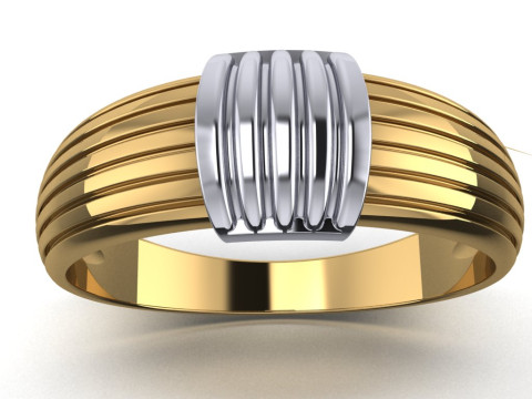 PRINTABLE WOMANS RING two colors not stones 3D 打印模型