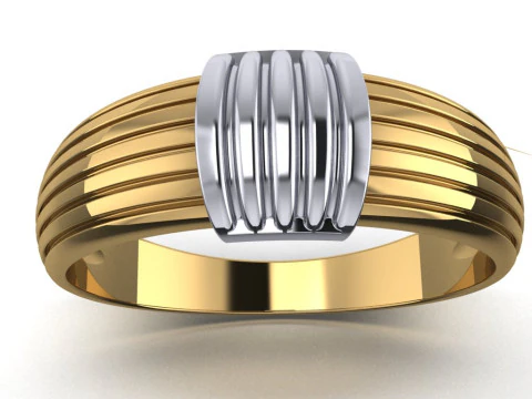 PRINTABLE WOMANS RING two colors not stones 3D Print Model