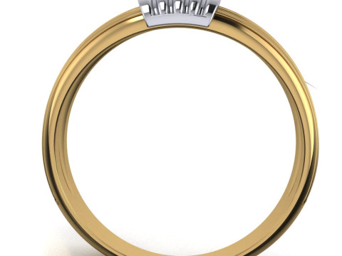 PRINTABLE WOMANS RING two colors not stones 3D 打印模型