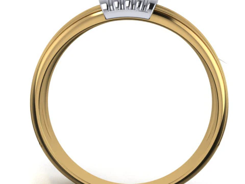PRINTABLE WOMANS RING two colors not stones 3D Print Model
