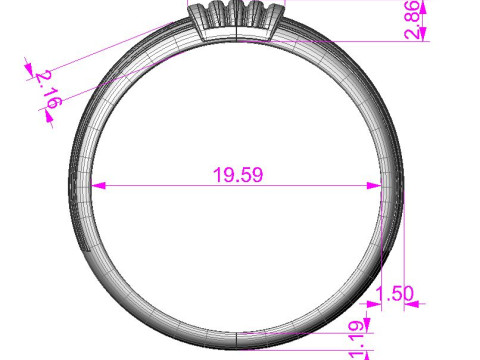 PRINTABLE WOMANS RING two colors not stones 3D 打印模型