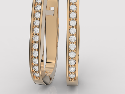 Jewelry earrings with stones 015ct Printable STL Modello di stampa 3D