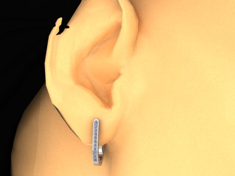 Jewelry earrings with stones 015ct Printable STL Modello di stampa 3D