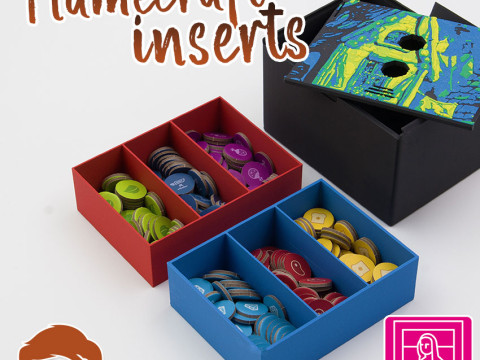 FLAMECRAFT INSERTS - ORGANIZER PLUS 3 SPECIAL GIFT FOR YOU BY AM-MEDIA 3D प्रिंट मॉडल