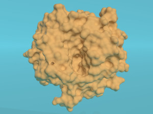 Glucose oxidase enzyme 3D Model