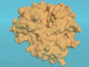 Glucose oxidase enzyme Modèle 3D