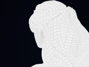 Realistic Female Hair Low-poly 3D Model
