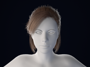 Realistic Female Hair Low-poly 3D 모델