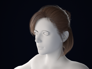 Realistic Female Hair Low-poly 3D 모델