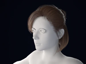 Realistic Female Hair Low-poly 3D Model
