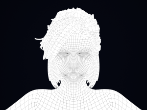 Realistic Female Hair Low-poly 3D 모델