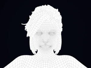 Realistic Female Hair Low-poly 3D Model